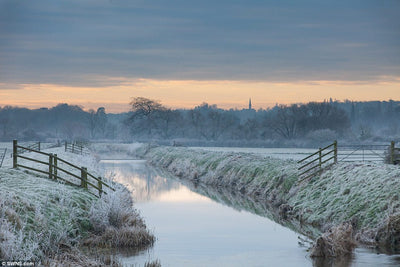 Tortoises, snowy fields and taking (dual) control – how to win at winter