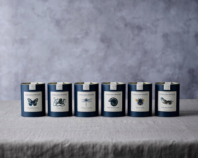 Launching at Top Drawer